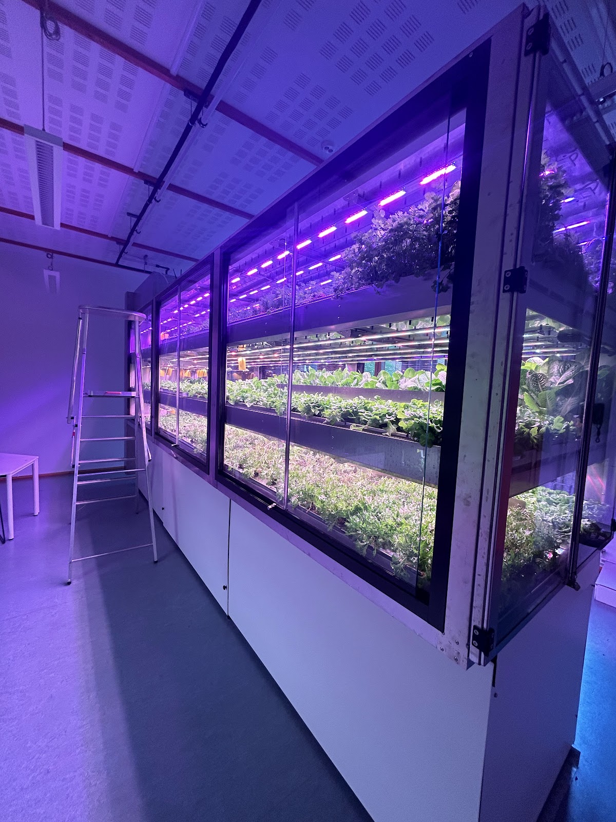 Mälardalen University photo 8