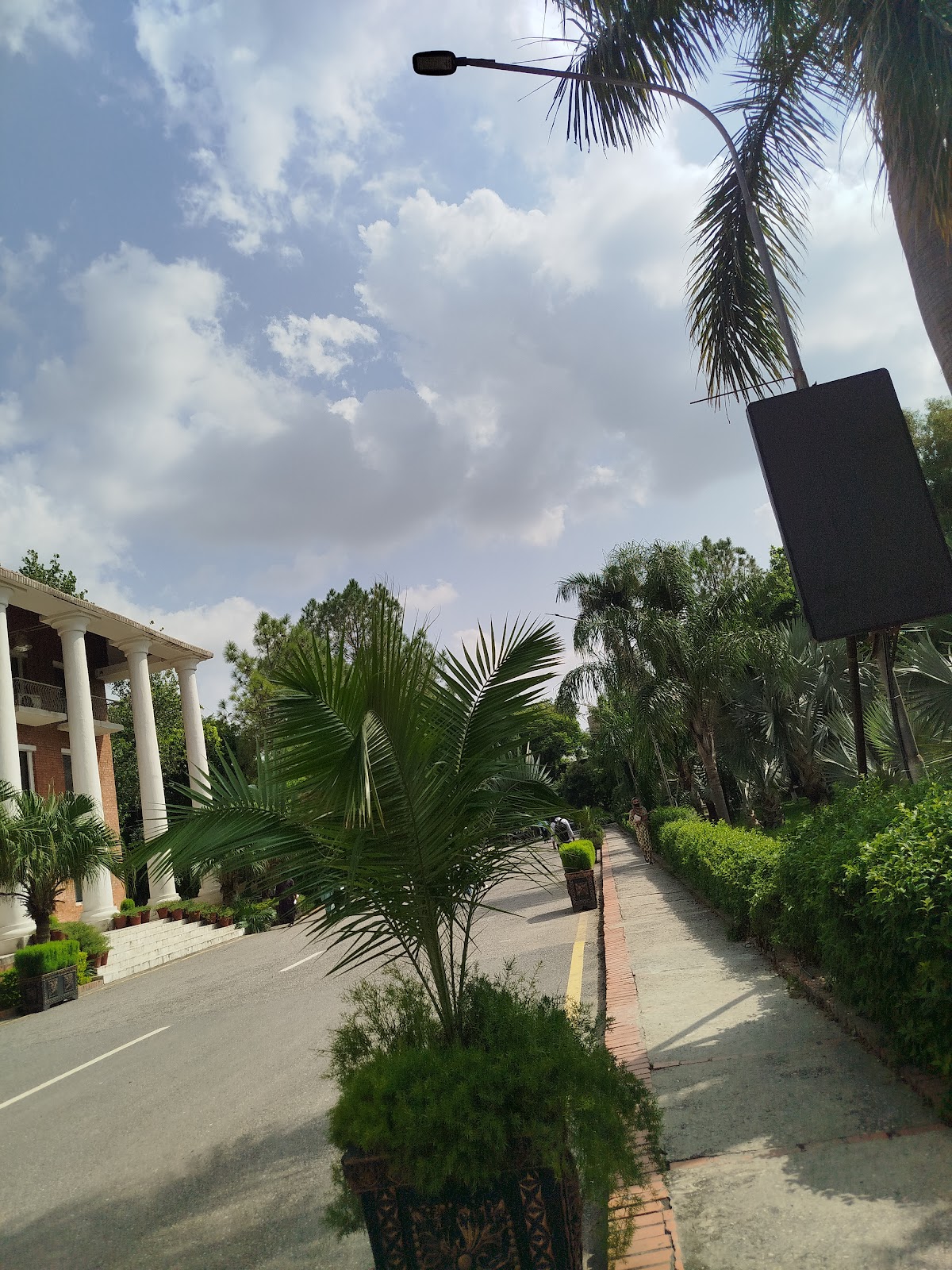 Pir Mehr Ali Shah Arid Agriculture University photo 8