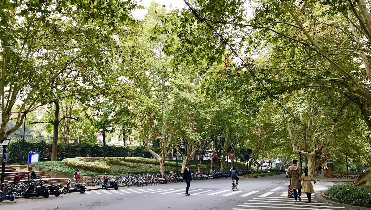 Zhejiang University photo 1