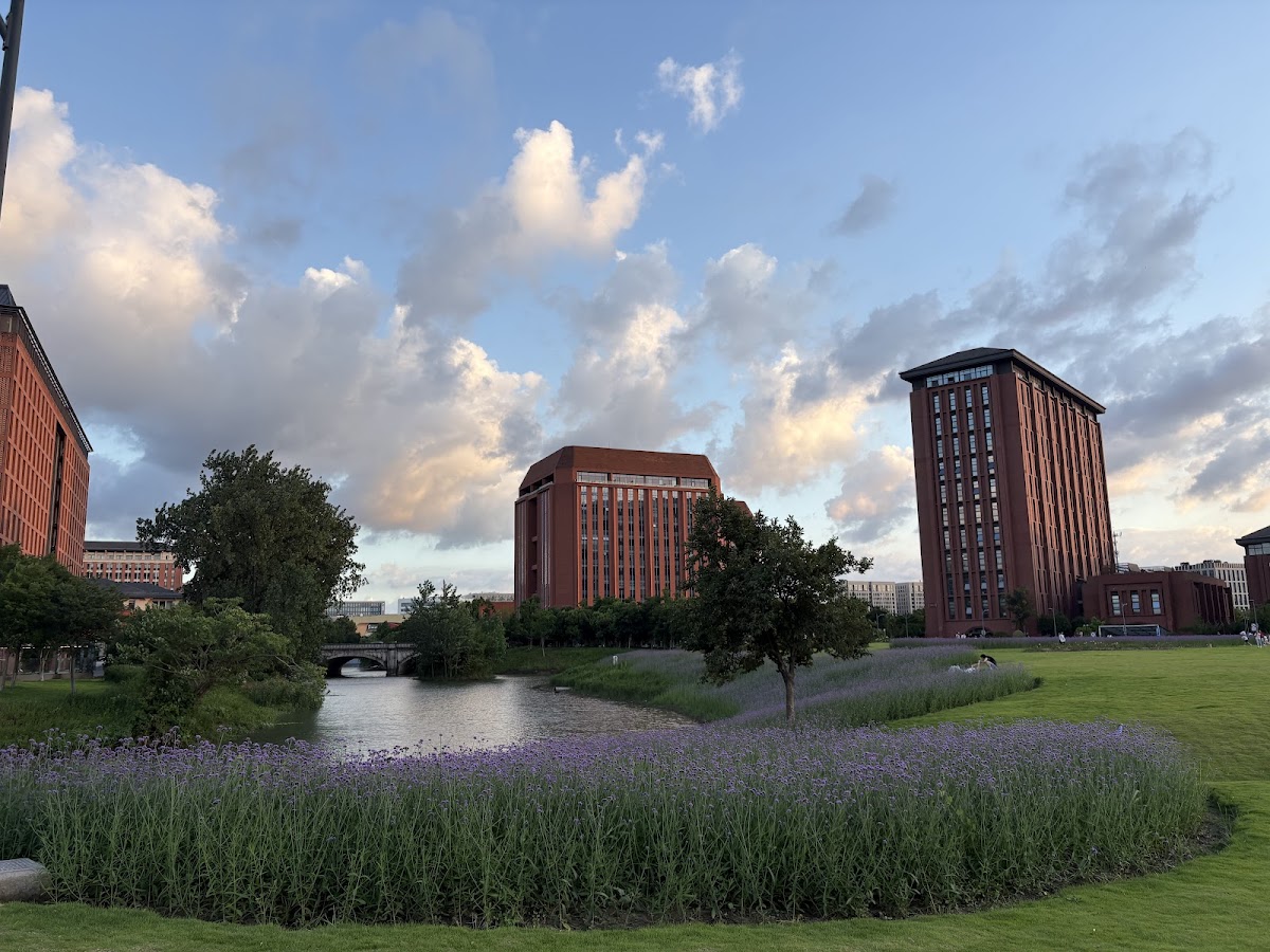 Zhejiang University photo 5