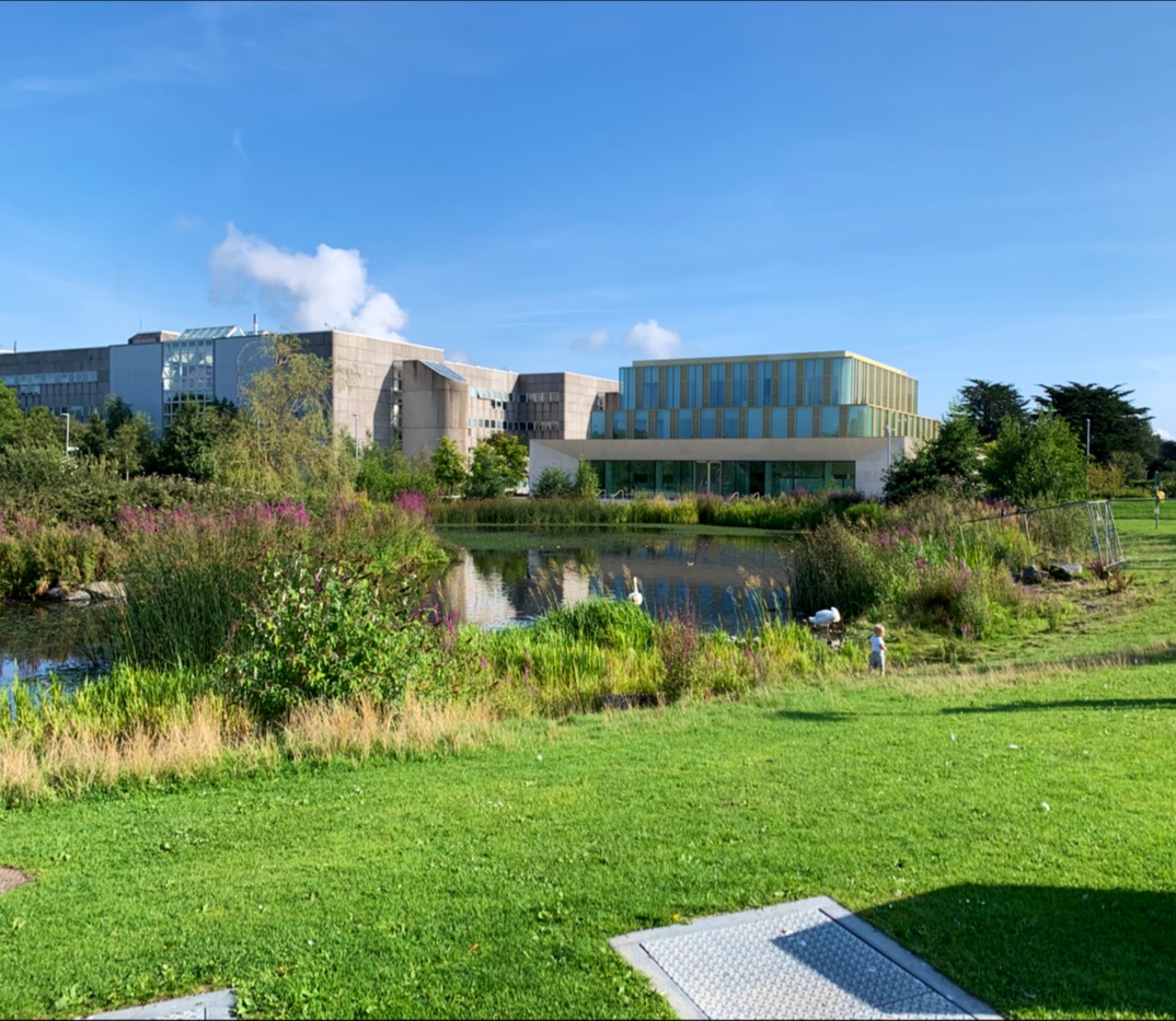 University College Dublin photo 7