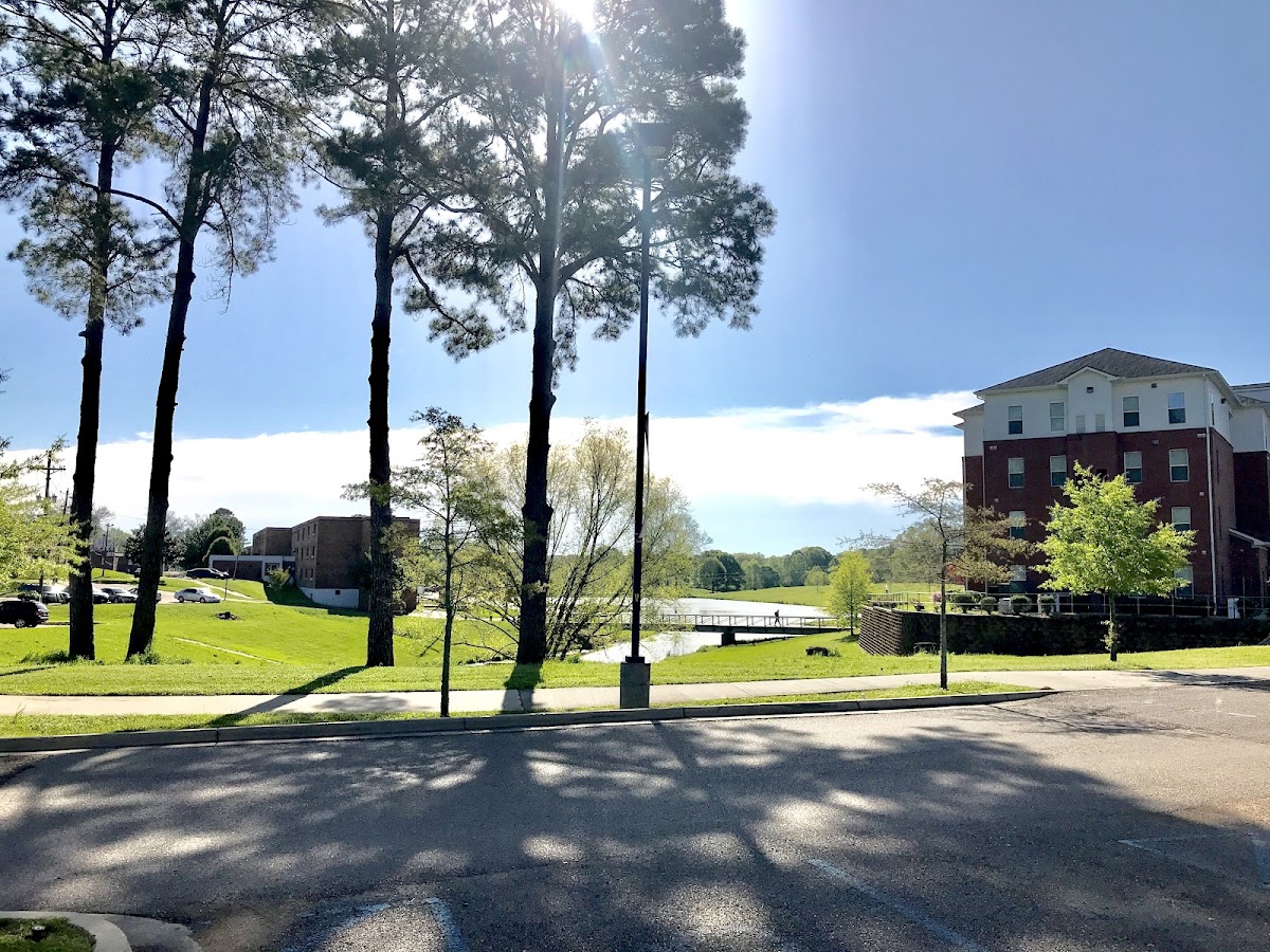 Alcorn State University photo 8