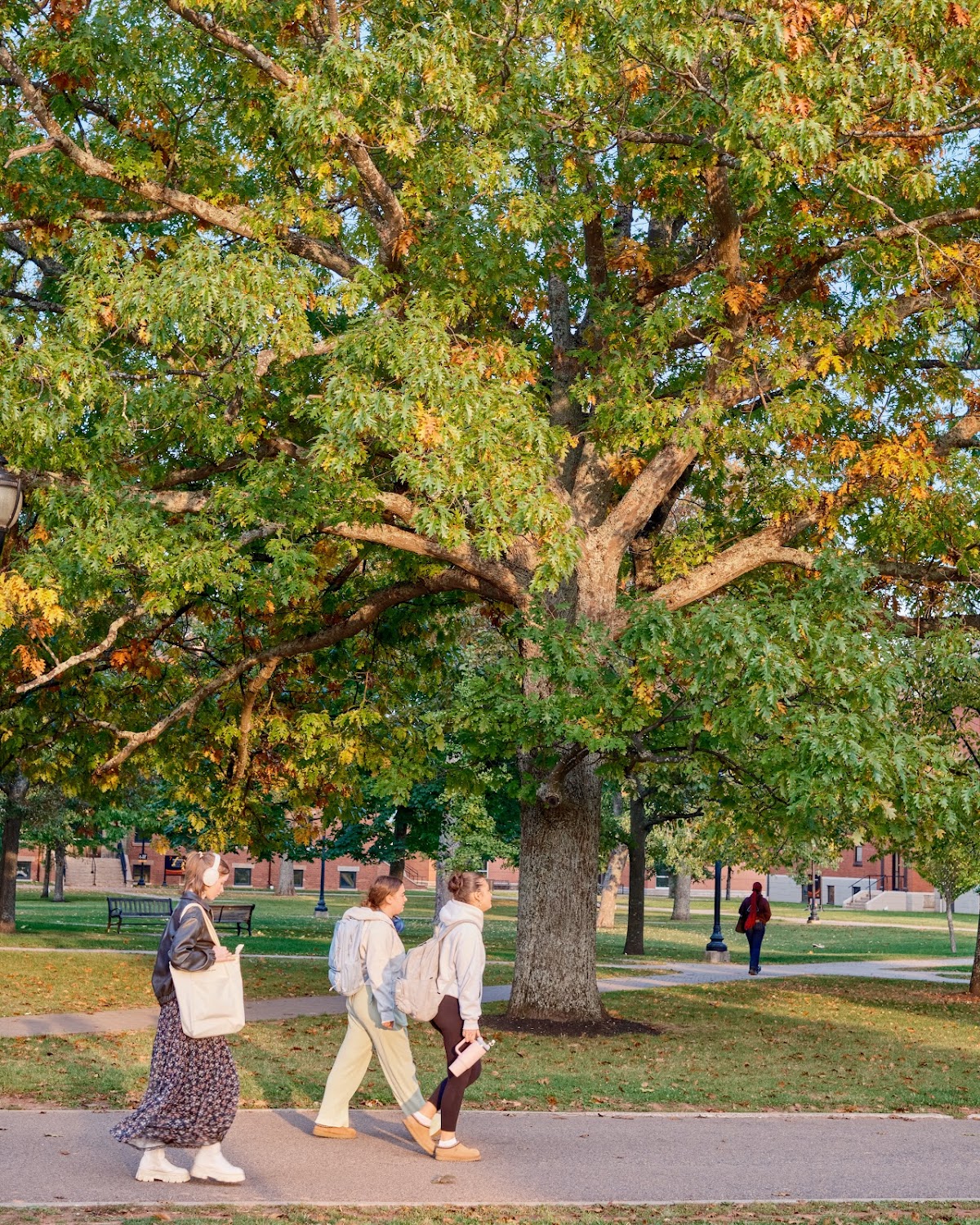 University of Prince Edward Island photo 8