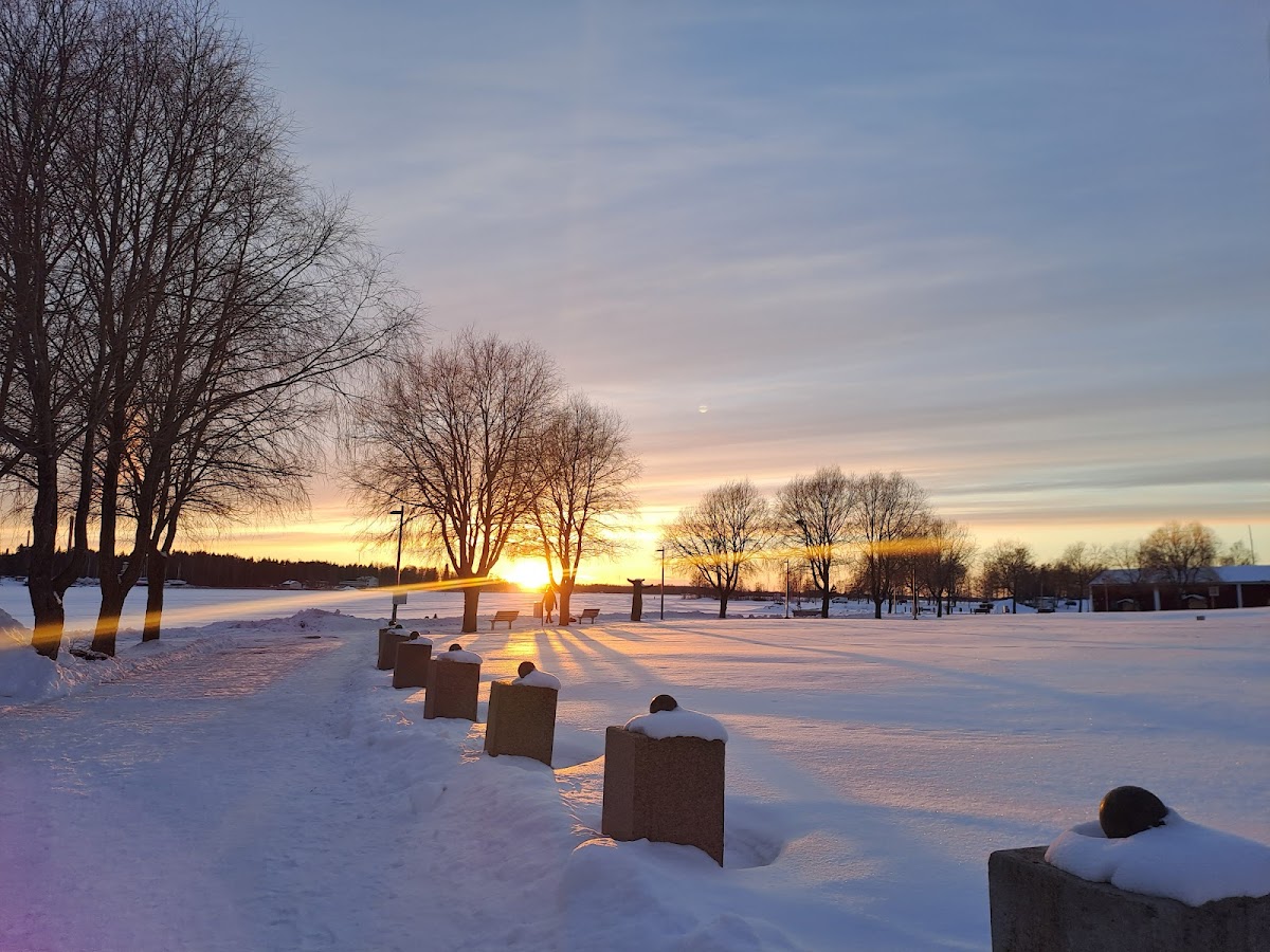 University of Vaasa photo 4