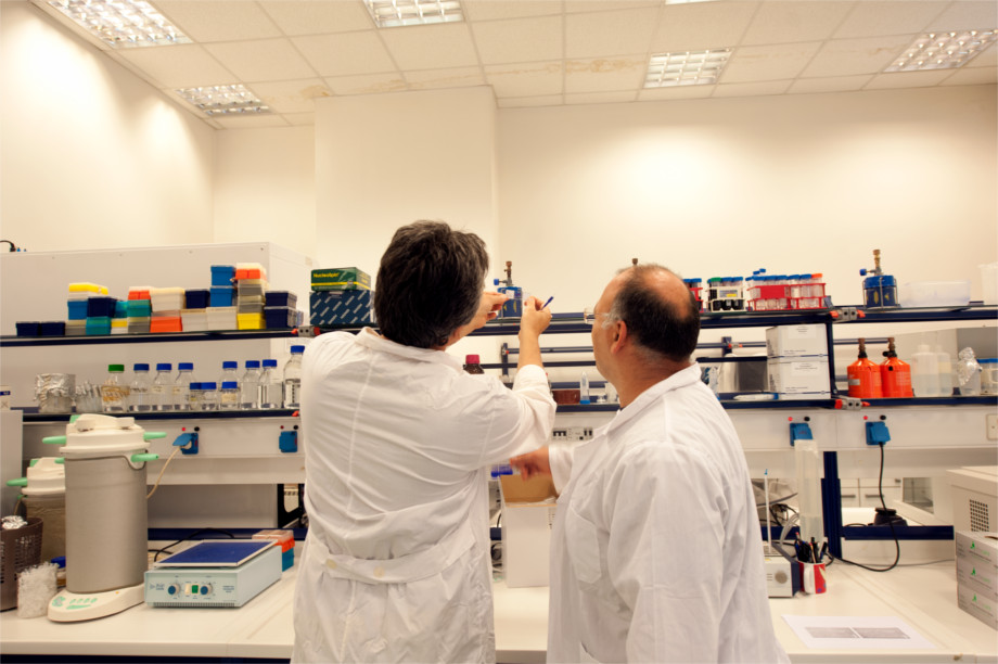 Hellenic Open University photo 3