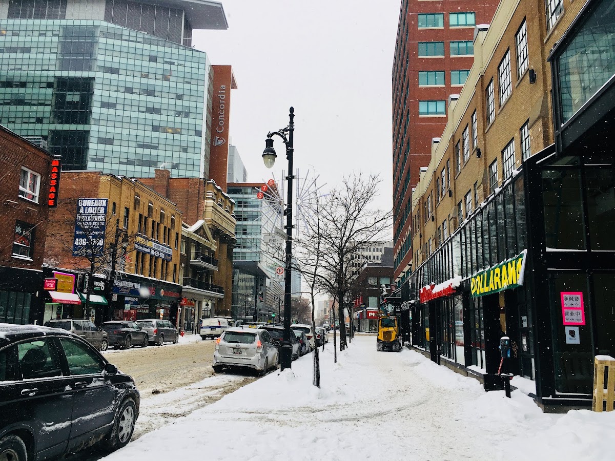Université Concordia photo 1