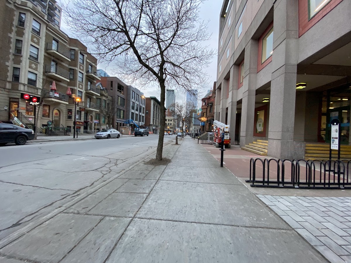 Université Concordia photo 6