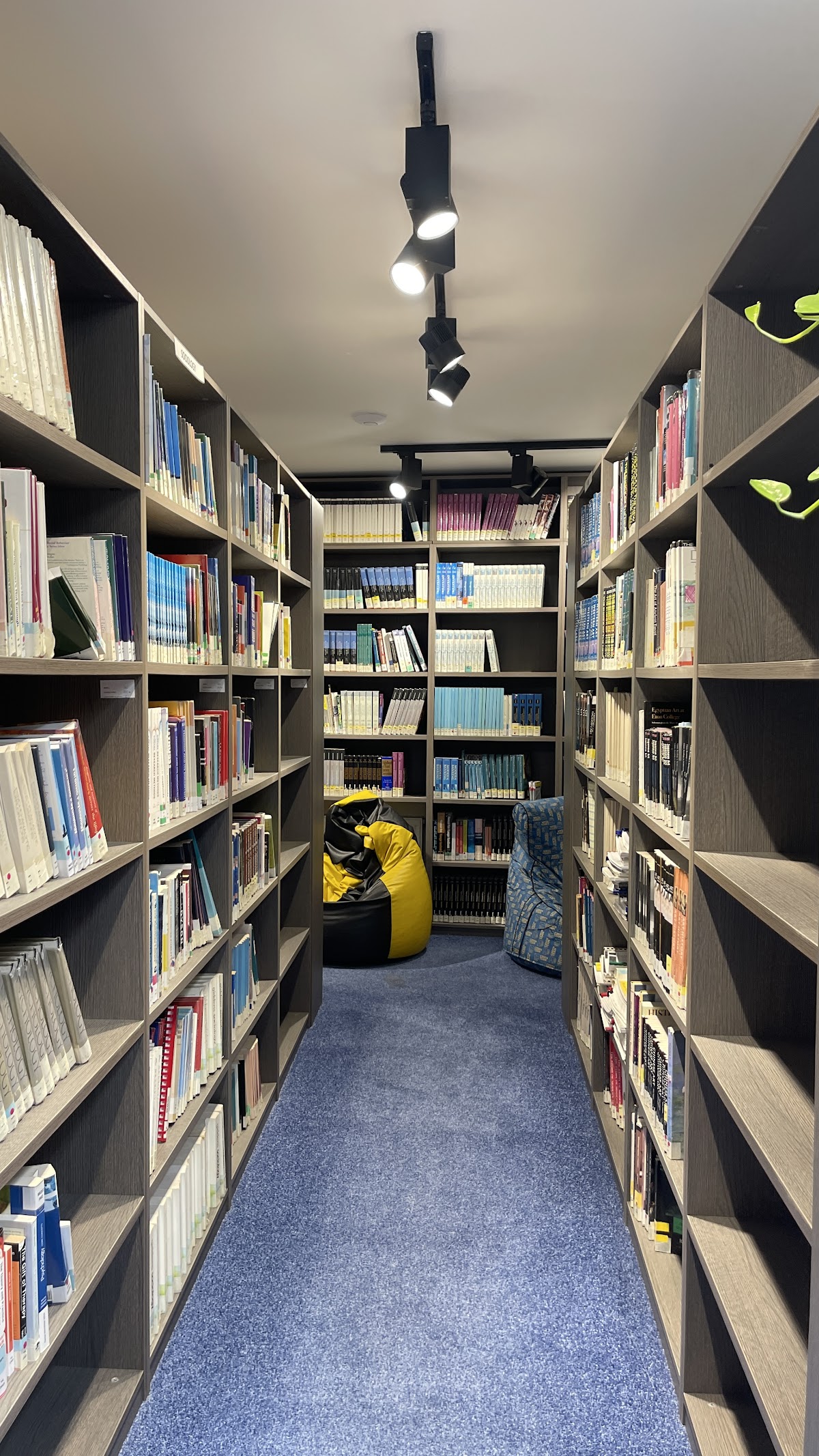 University of New York in Prague photo 7