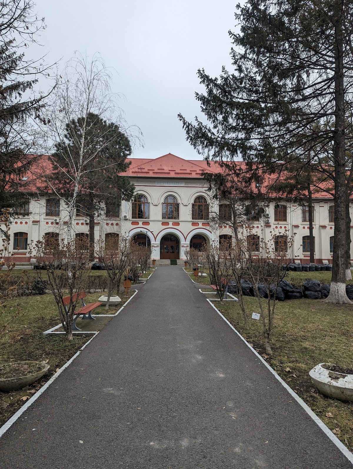 Vasile Alecsandri University of Bacău photo 6