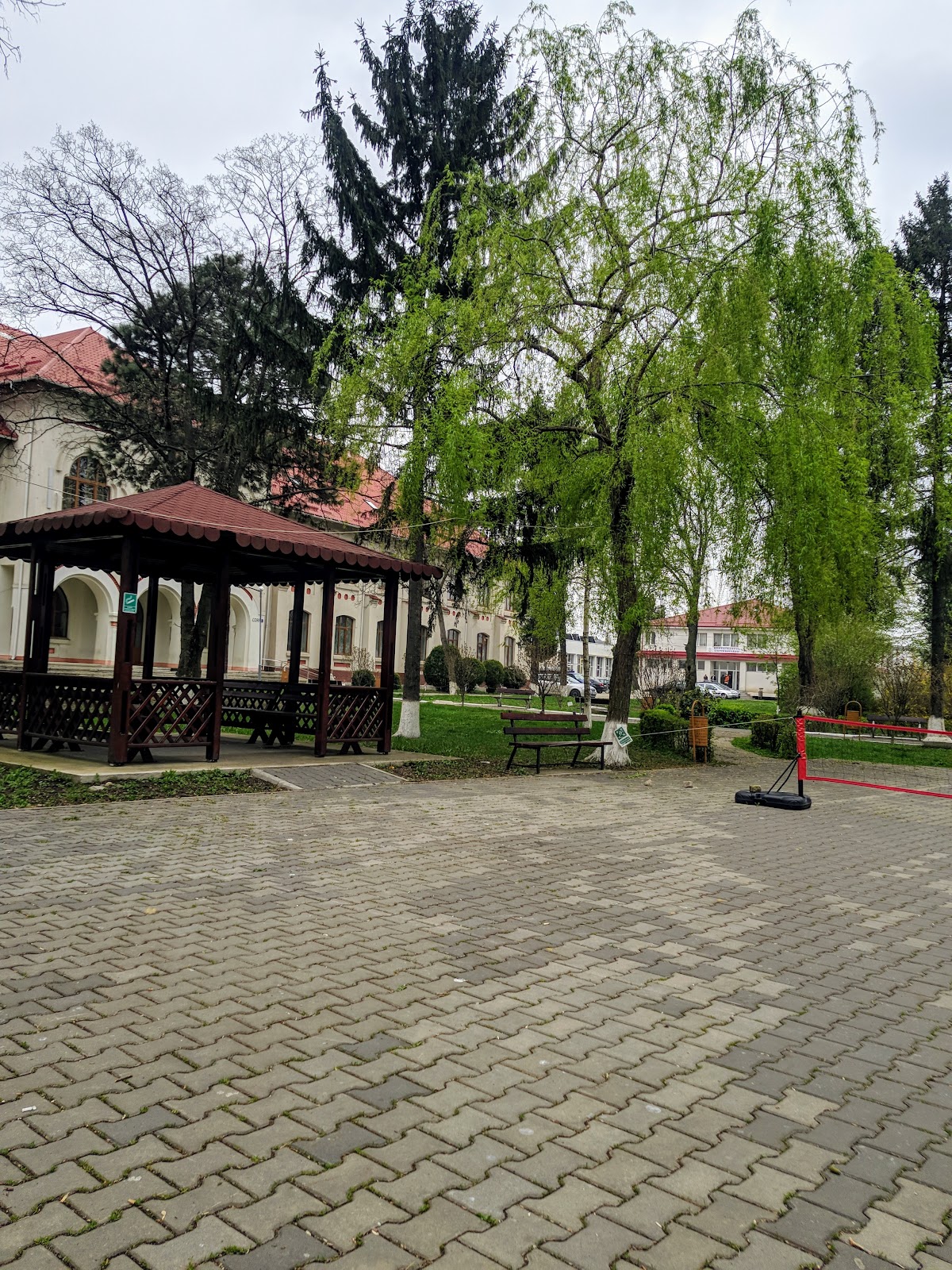 Vasile Alecsandri University of Bacău photo 8