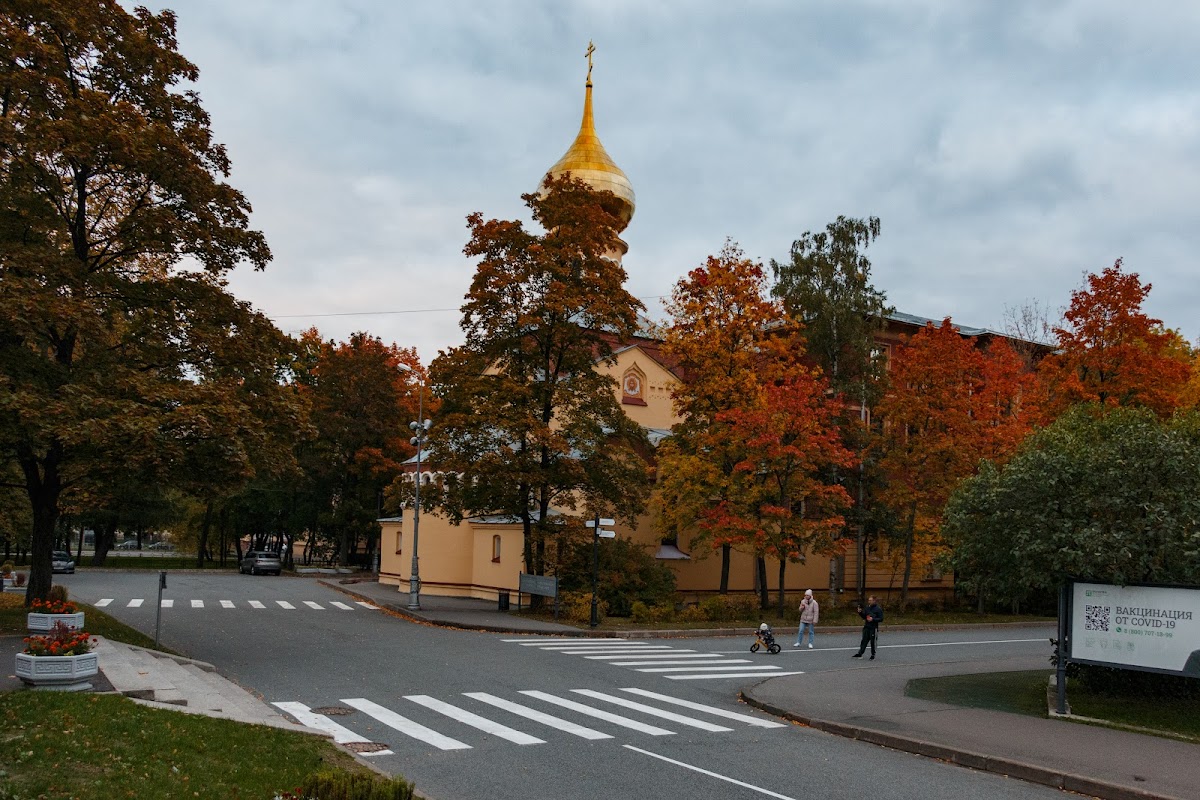 Peter the Great St. Petersburg Polytechnic University photo 4