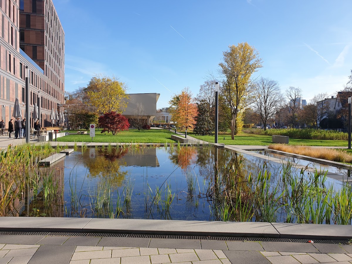 Frankfurt School of Finance and Management photo 2