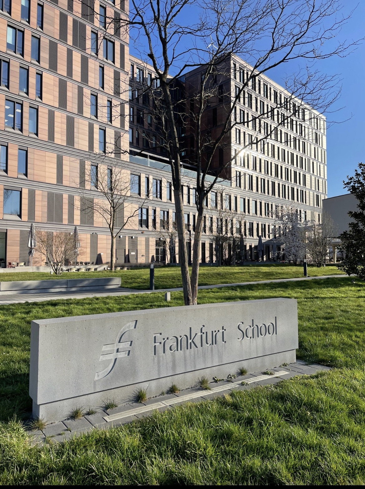 Frankfurt School of Finance and Management photo 9