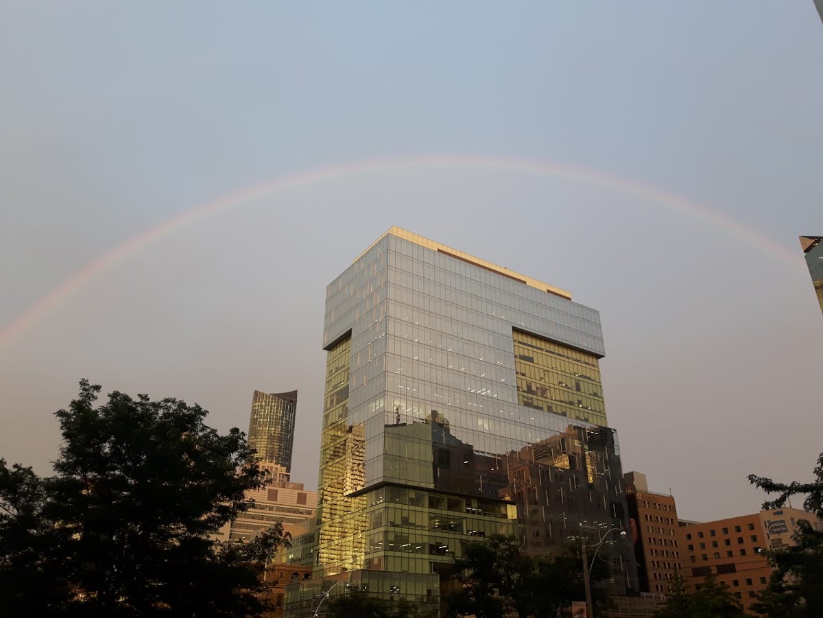University of Toronto Faculty of Pharmacy photo 3
