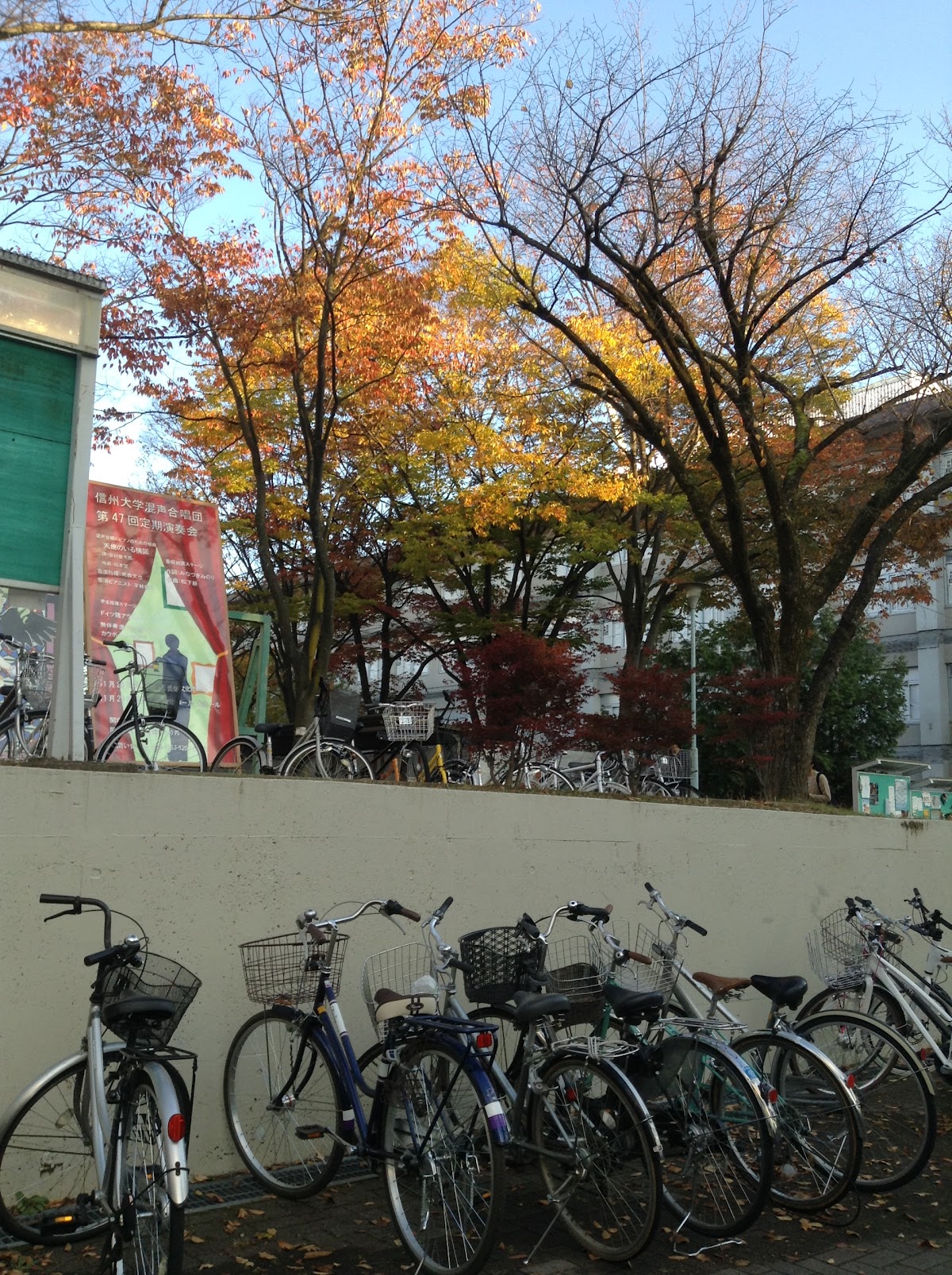 Shinshu University photo 9