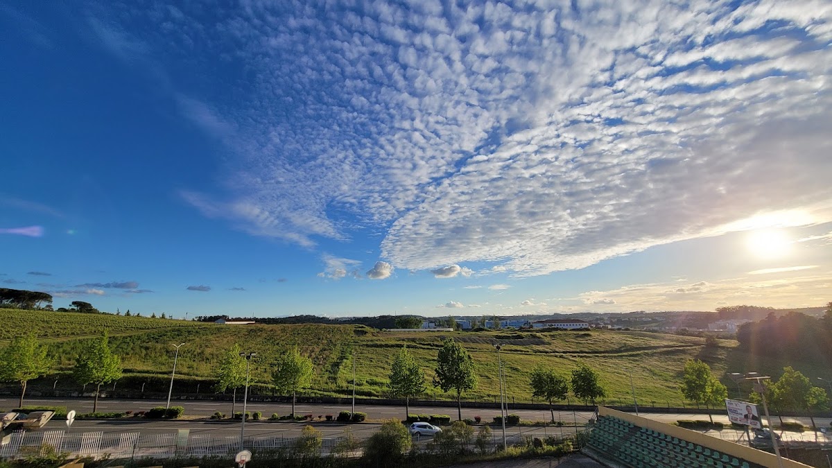 Polytechnic Institute of Leiria photo 2