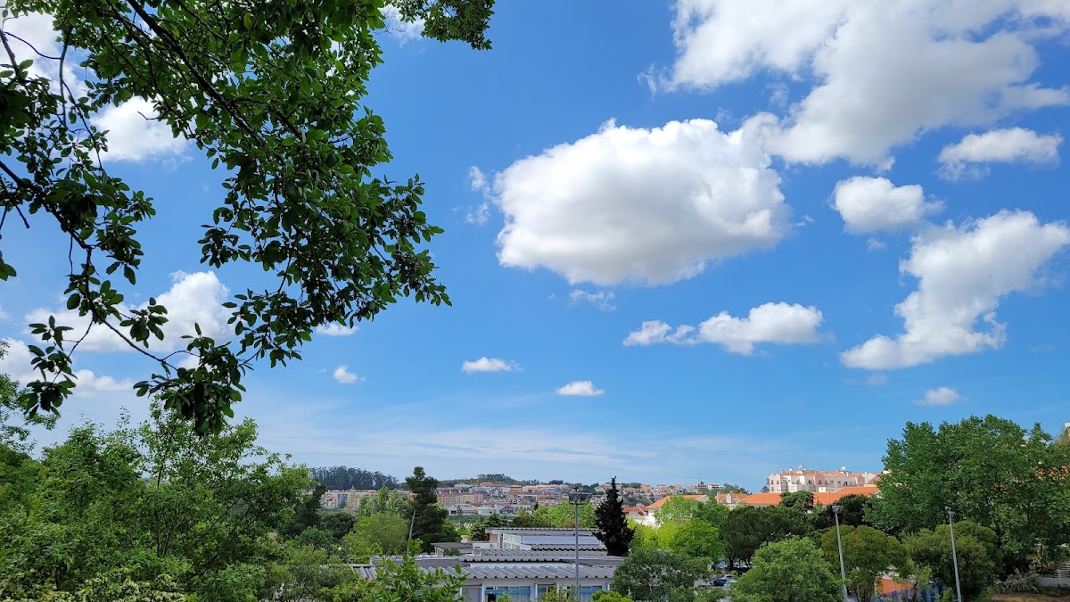 Polytechnic Institute of Leiria photo 3