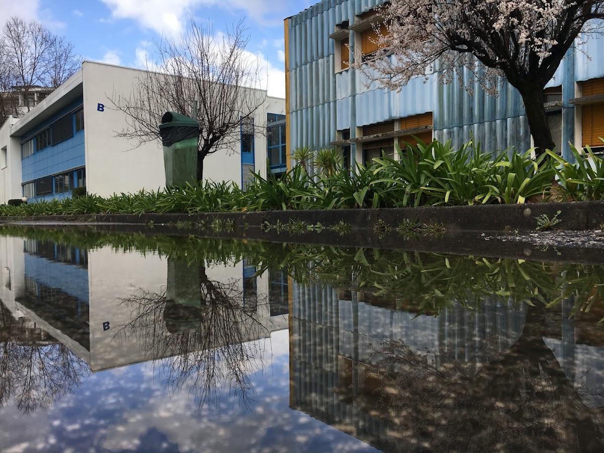 Polytechnic Institute of Leiria photo 6
