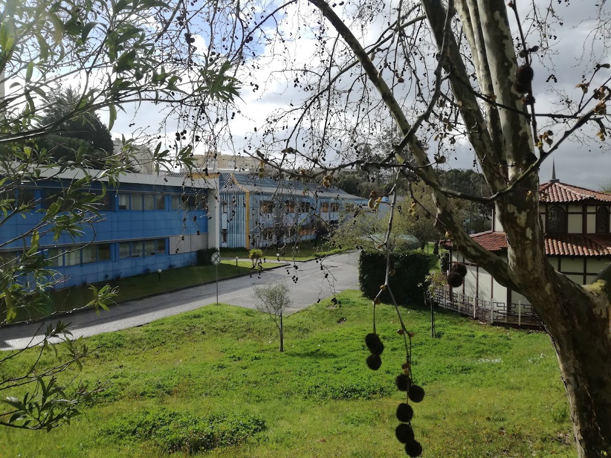 Polytechnic Institute of Leiria photo 8