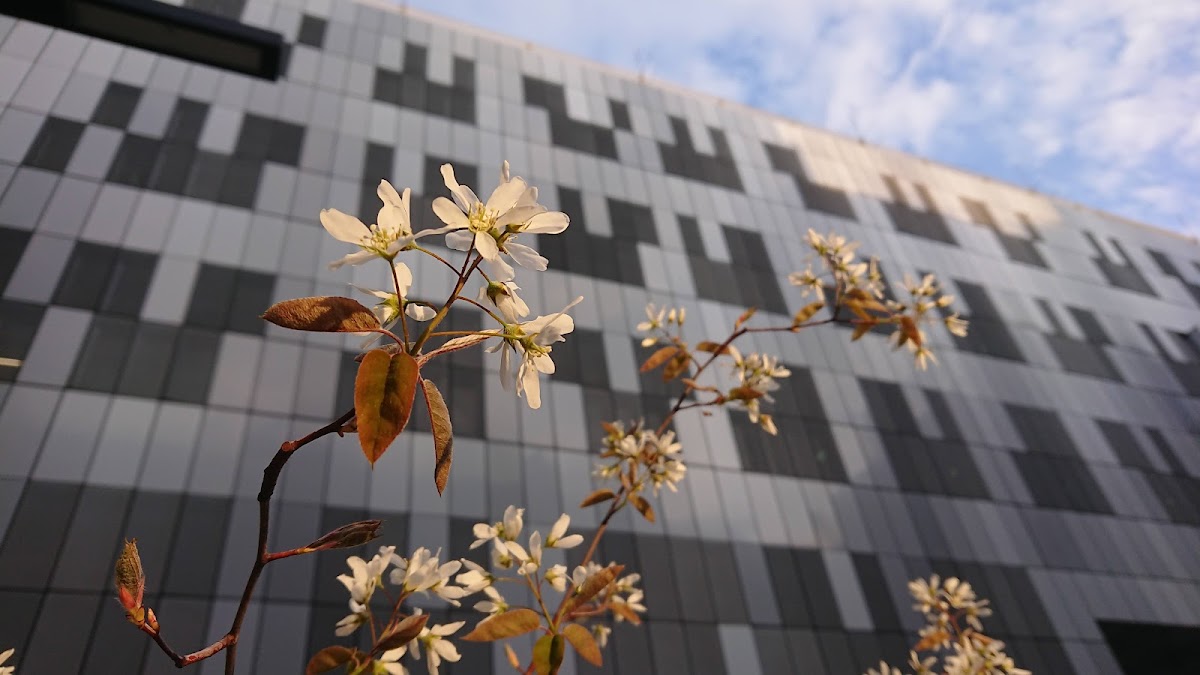 Medical University of Graz photo 1