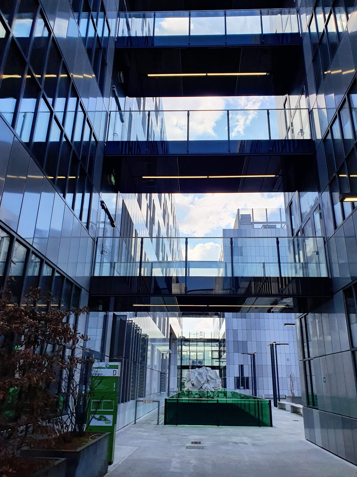 Medical University of Graz photo 8