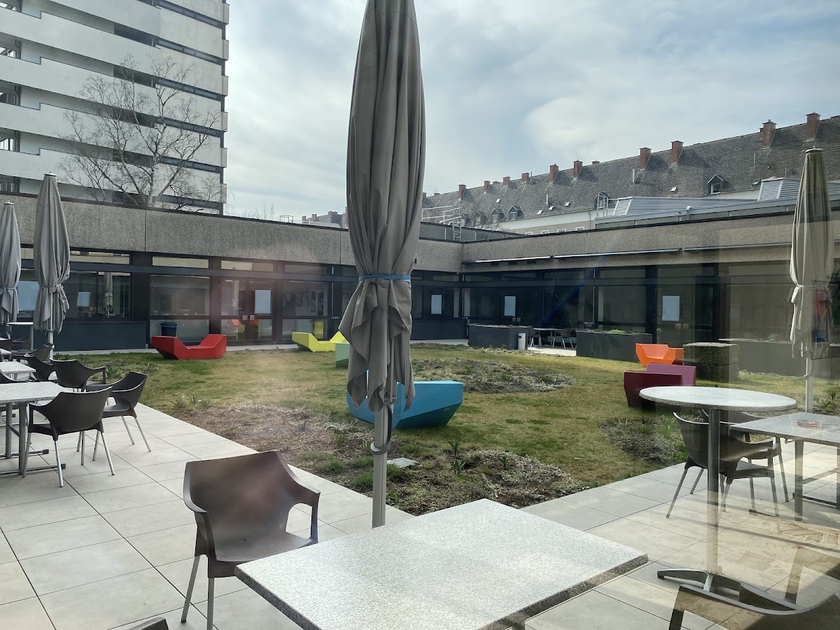 University of Education Upper Austria photo 2