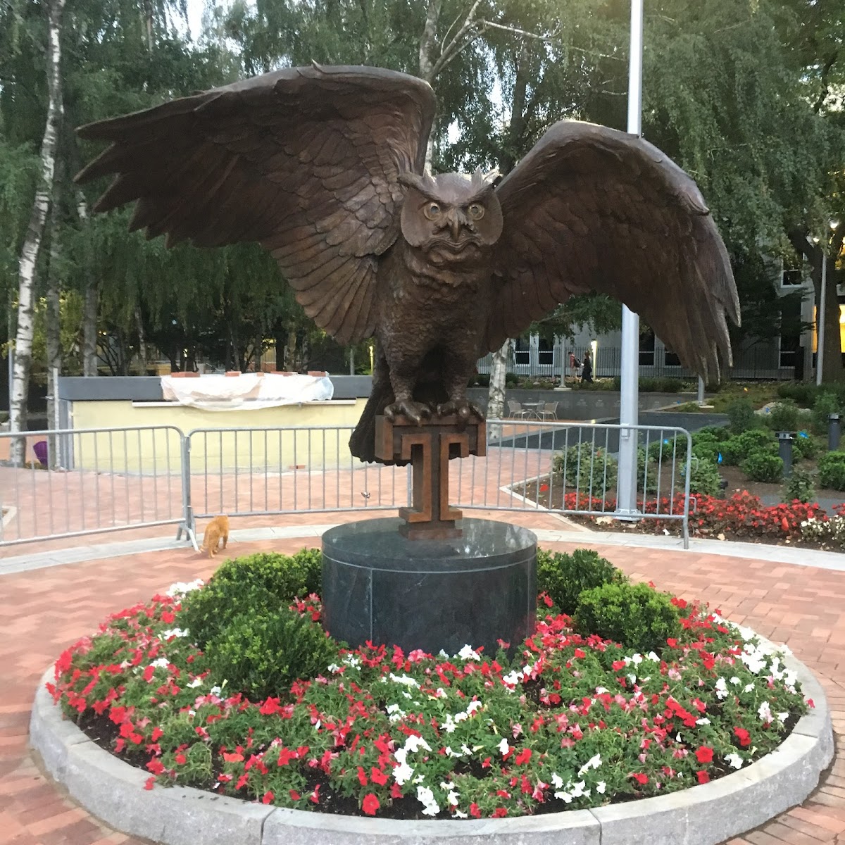 Temple University photo 4