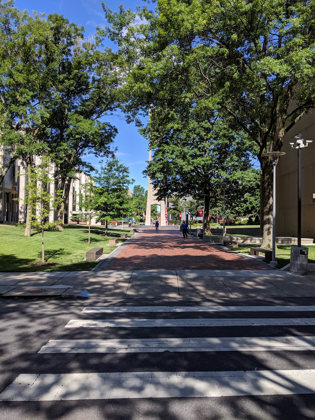 Temple University photo 8