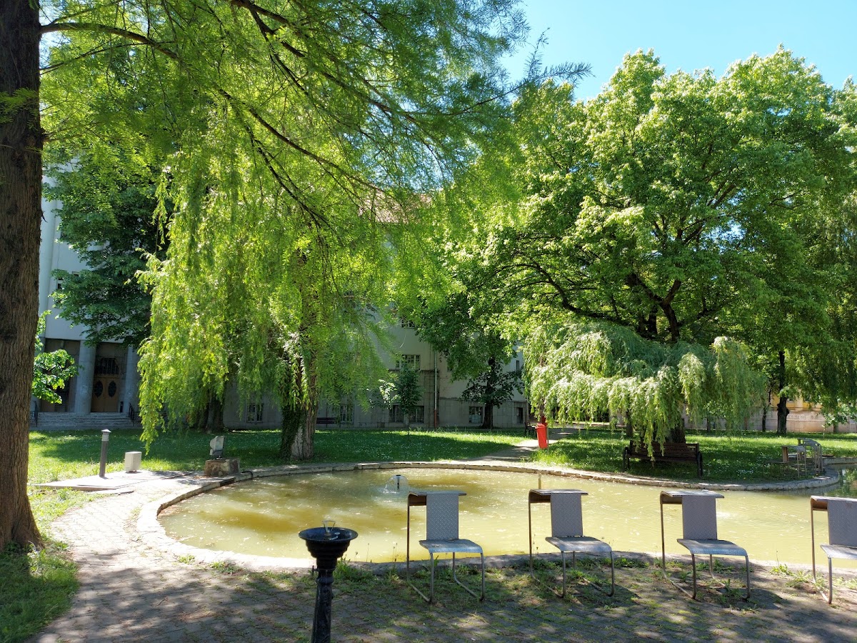 University of Oradea photo 5