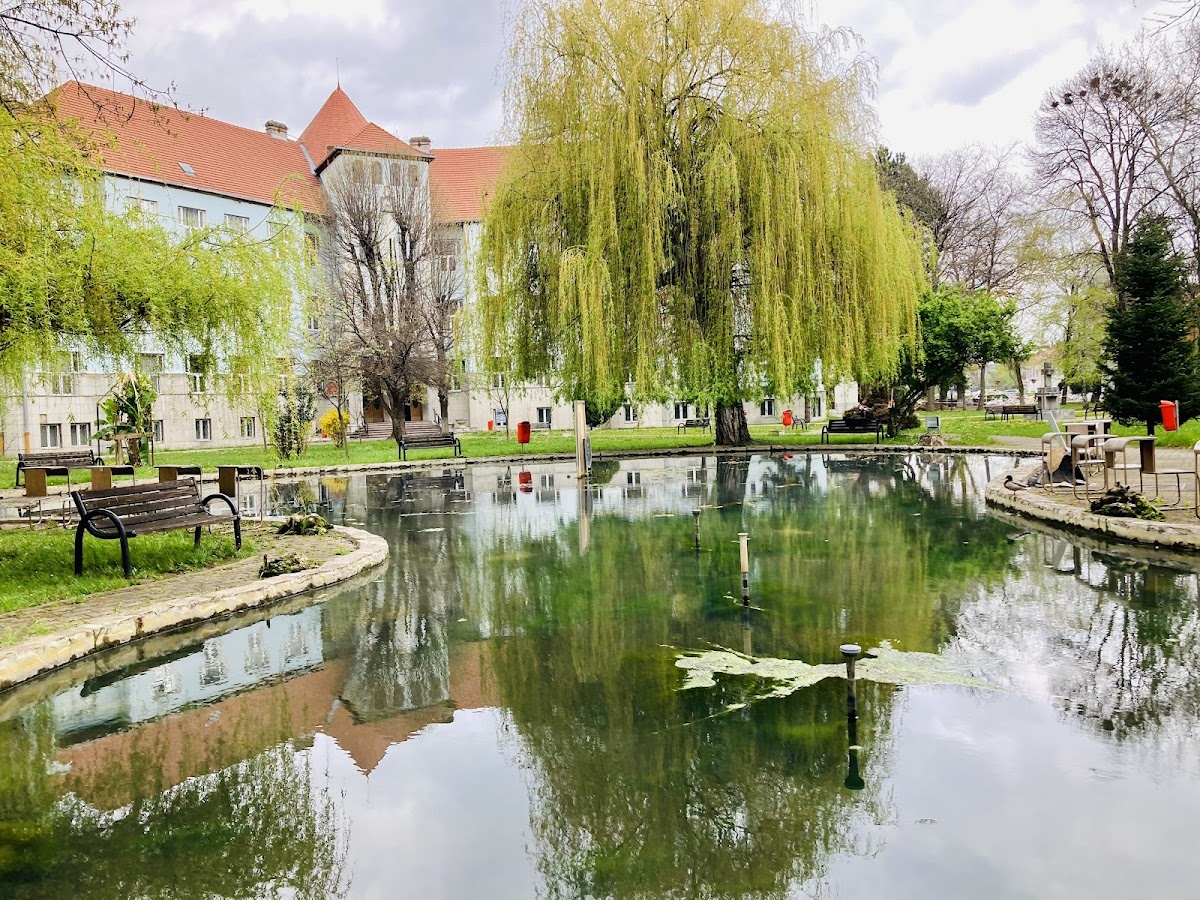 University of Oradea photo 7