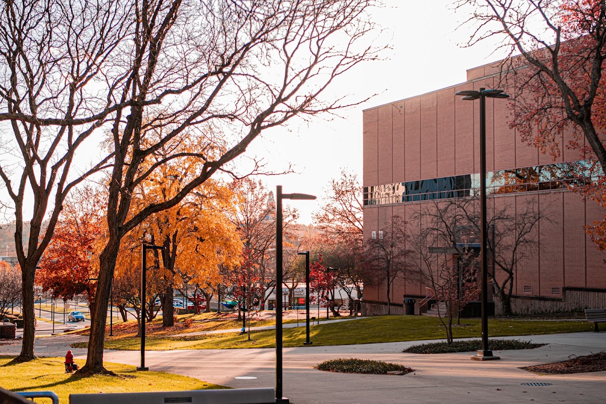 Youngstown State University photo 1