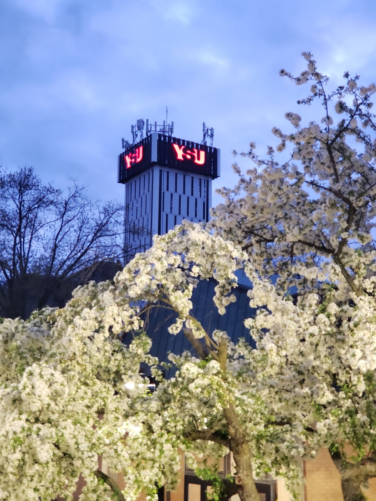 Youngstown State University photo 6