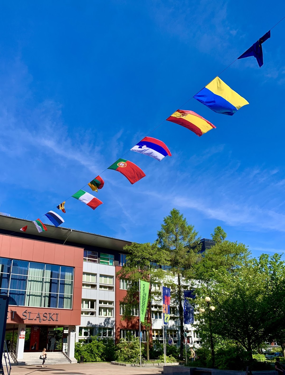 University of Silesia in Katowice photo 8