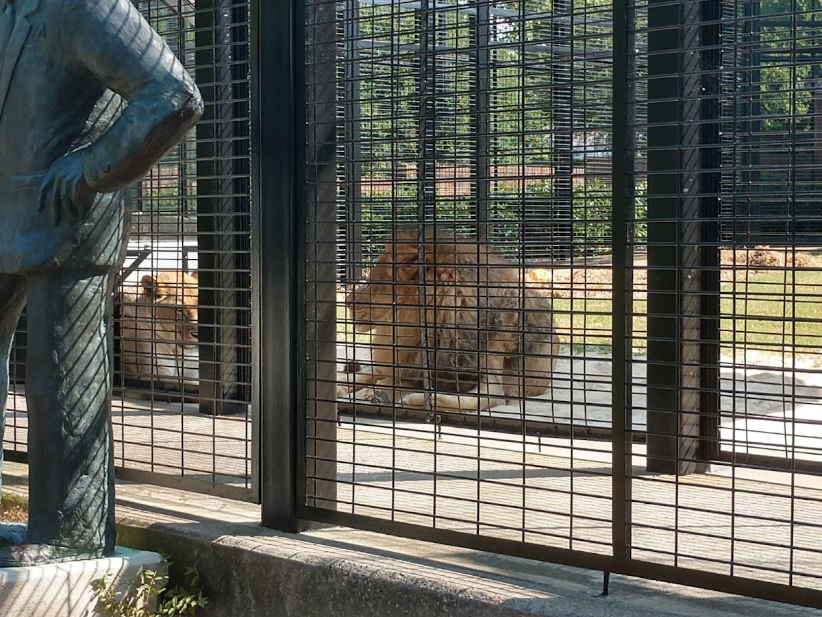 University of North Alabama photo 7