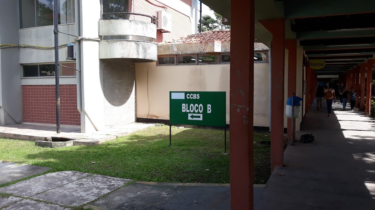 University Center of the State of Pará photo 1