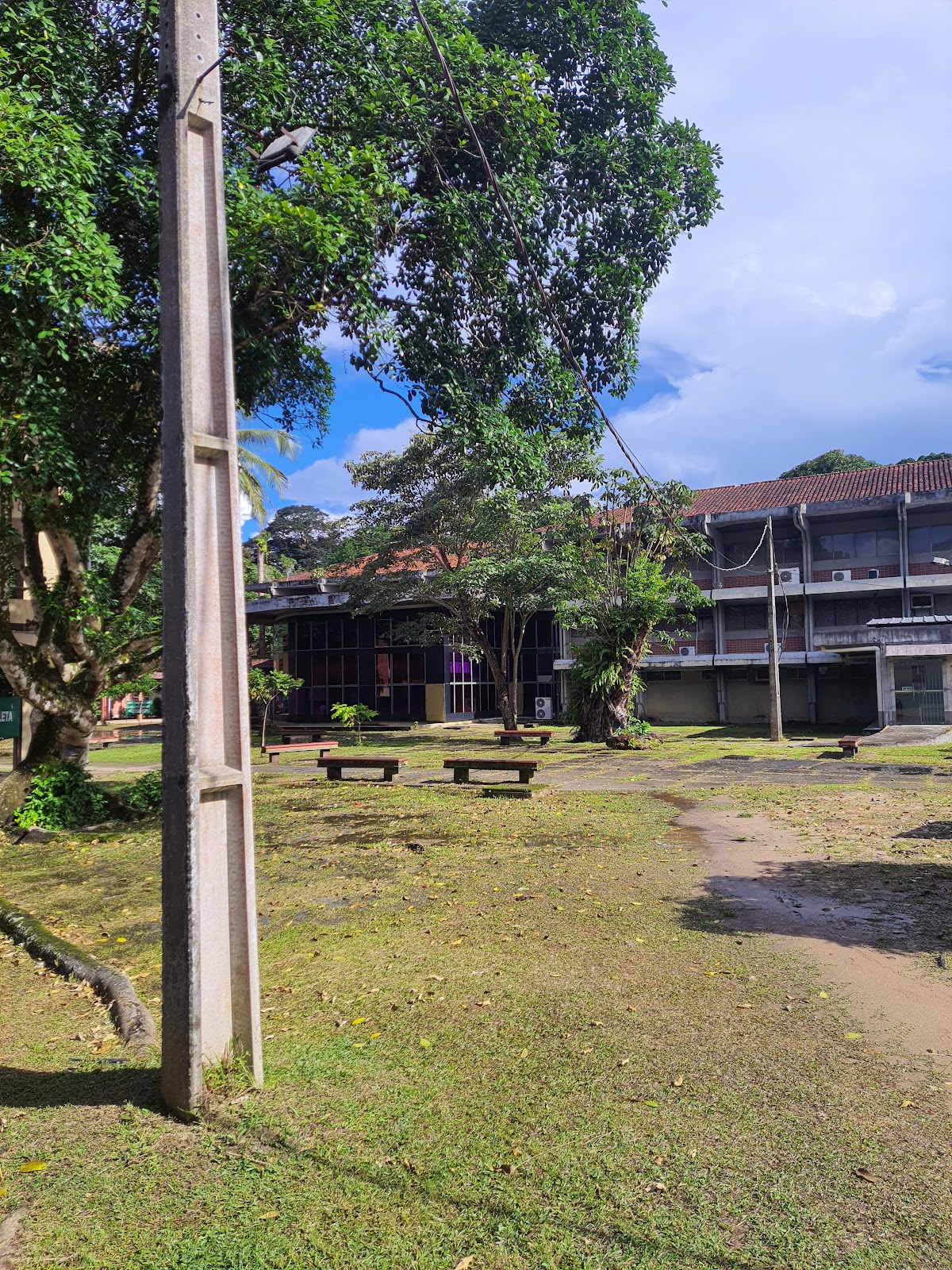 University Center of the State of Pará photo 6