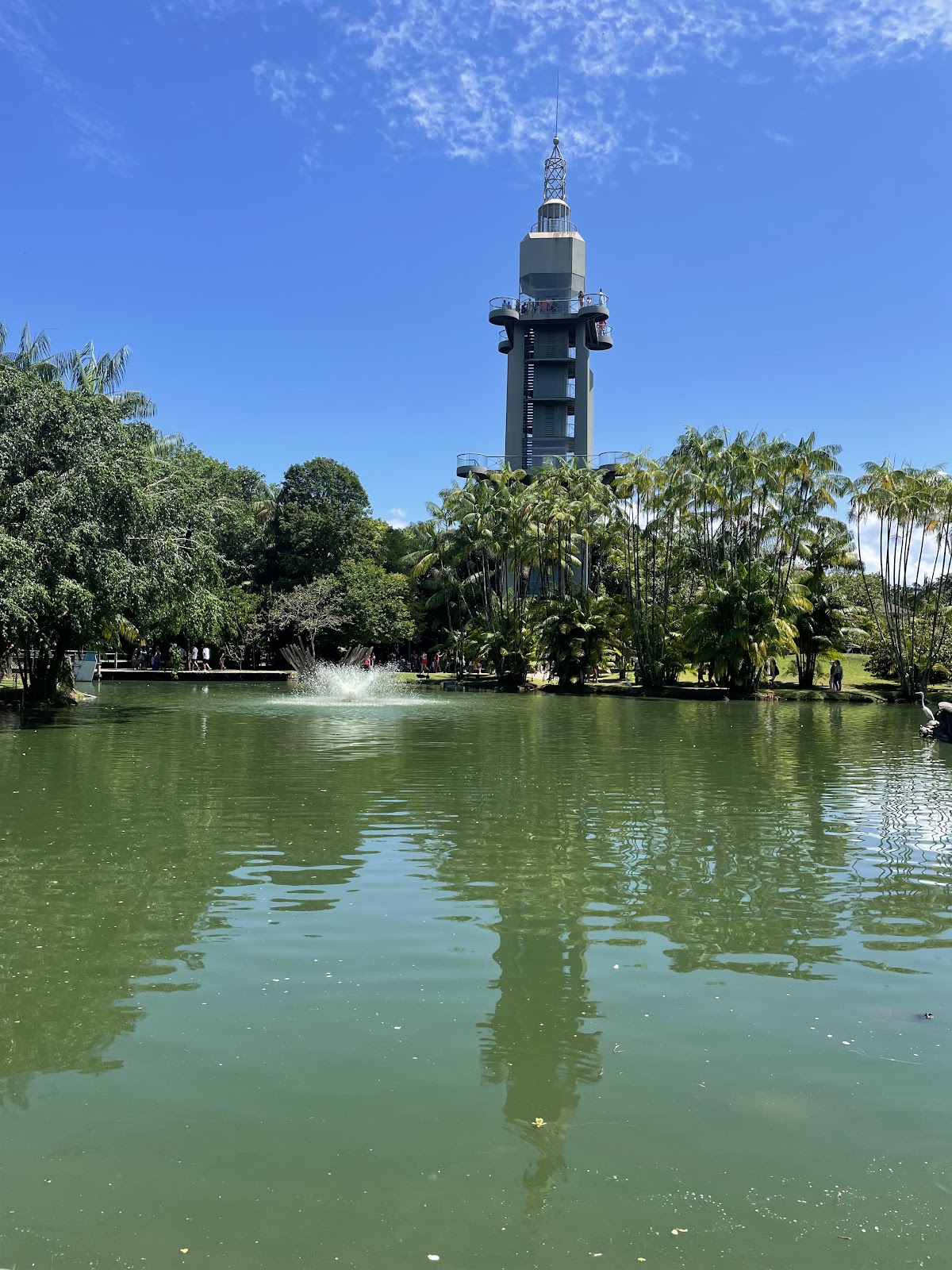 University Center of the State of Pará photo 8
