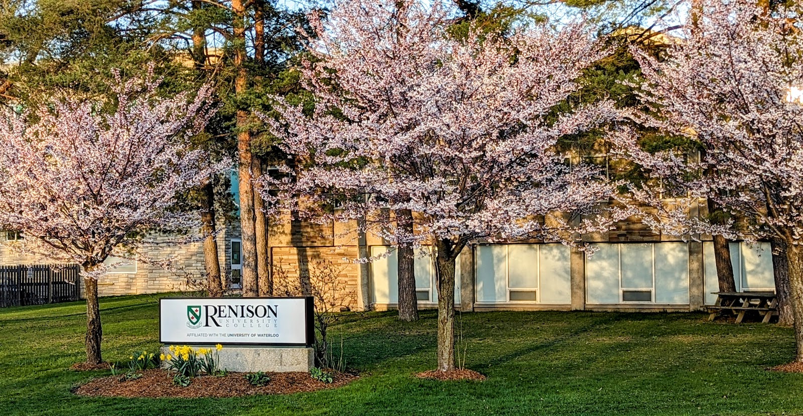 Renison University College