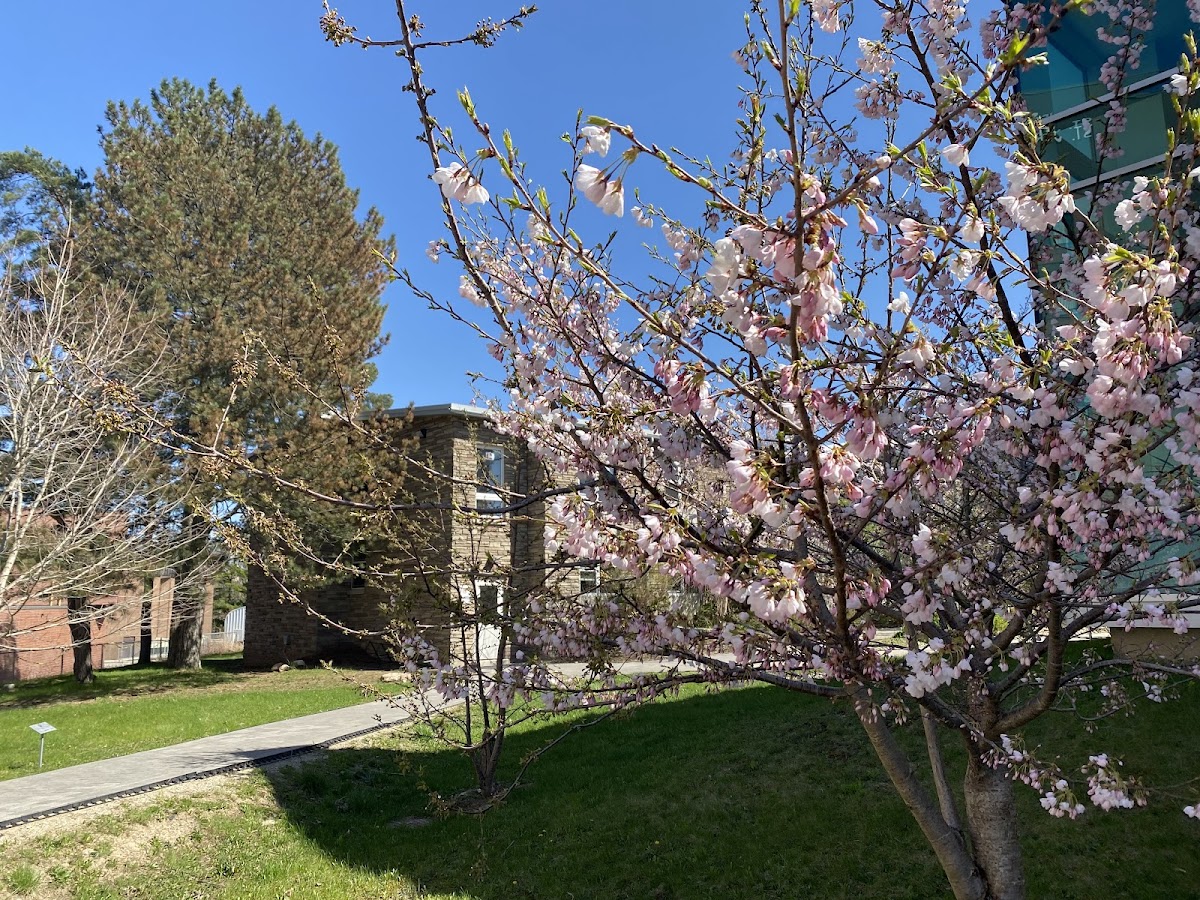 Renison University College photo 7