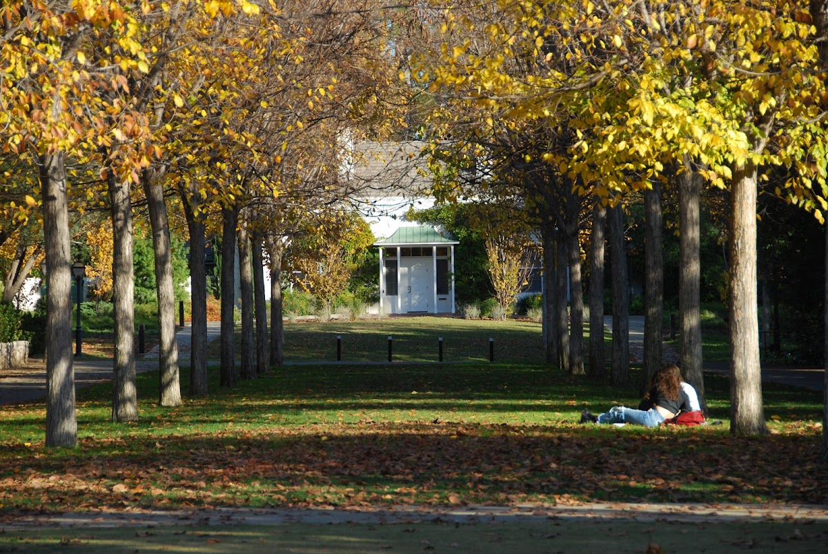 Scripps College photo 4