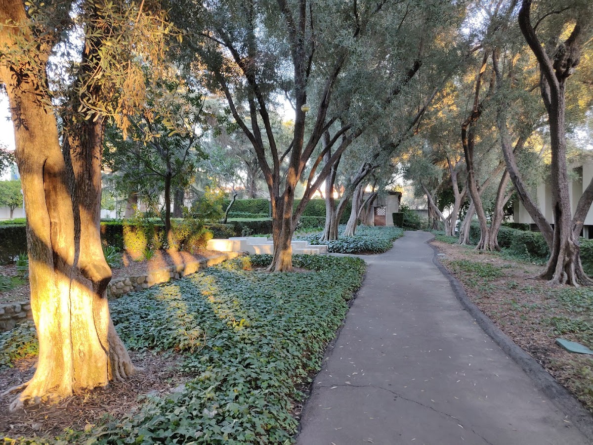 Scripps College photo 5