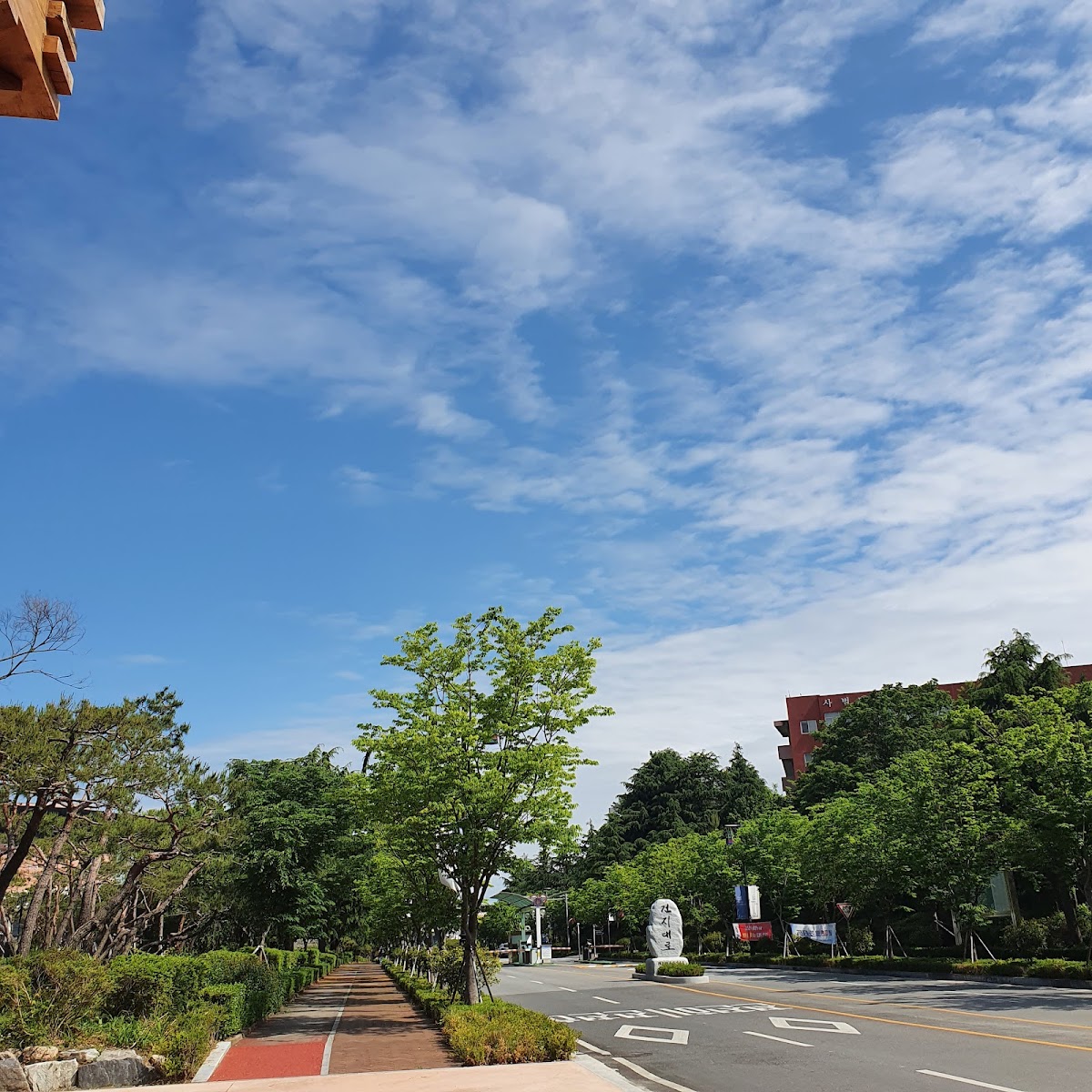 Chonbuk National University photo 9