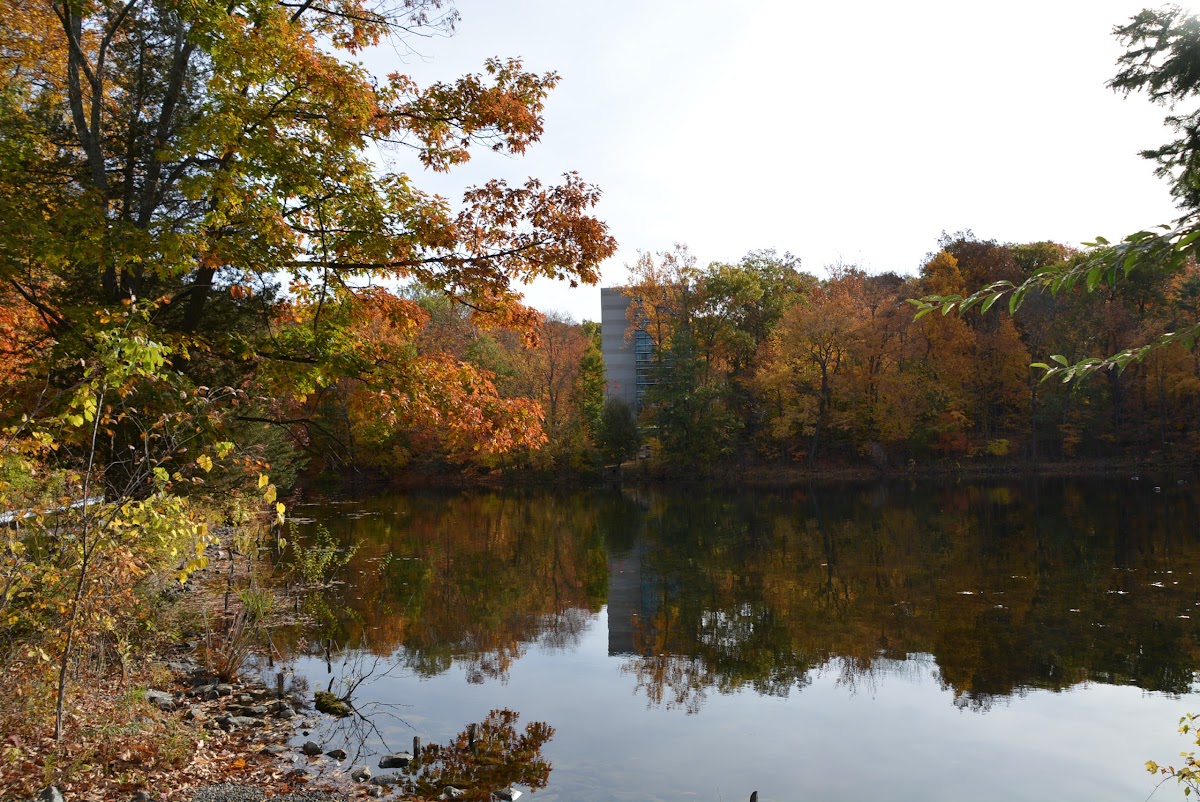 Ramapo College photo 2