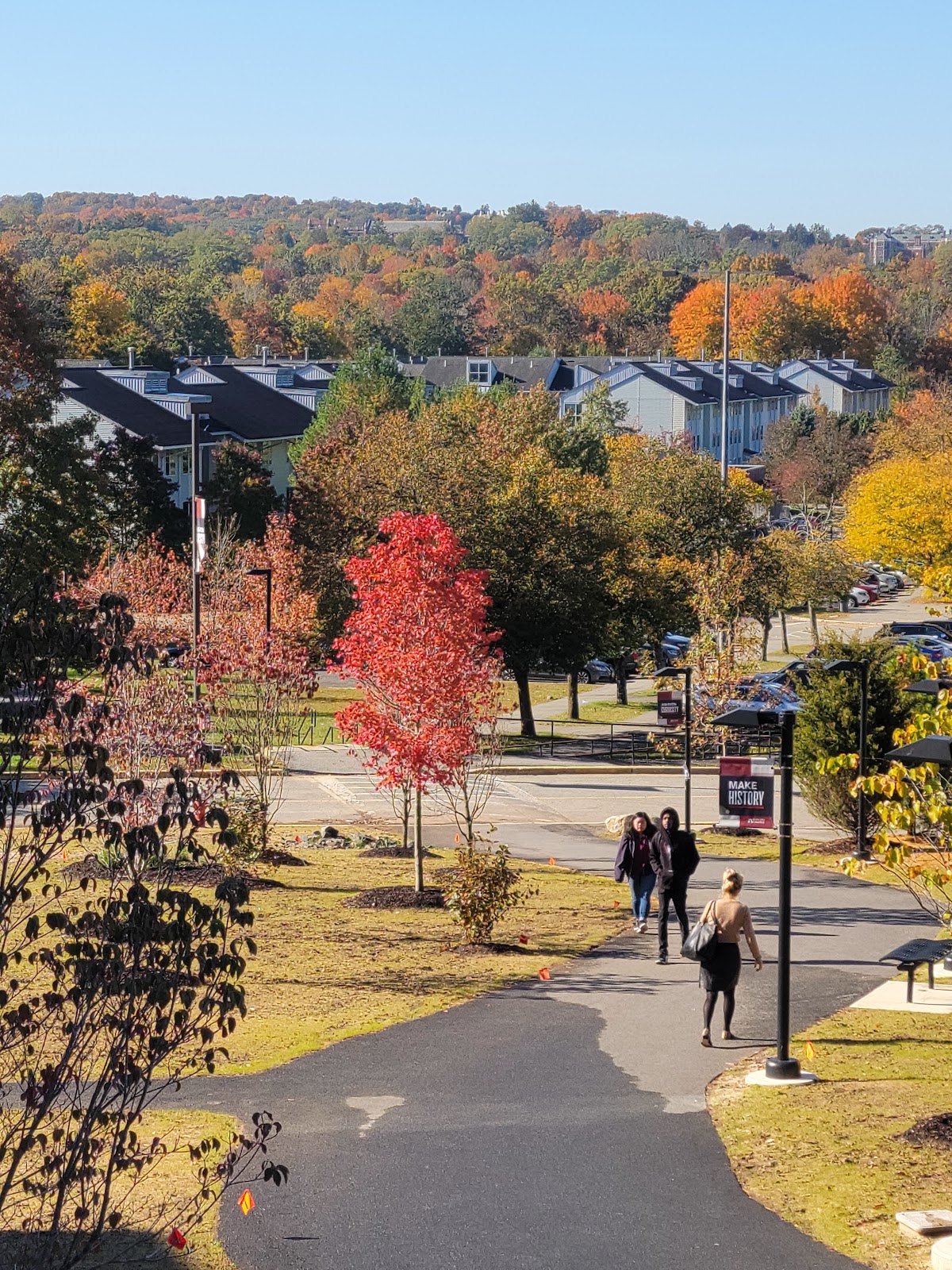 Ramapo College photo 8