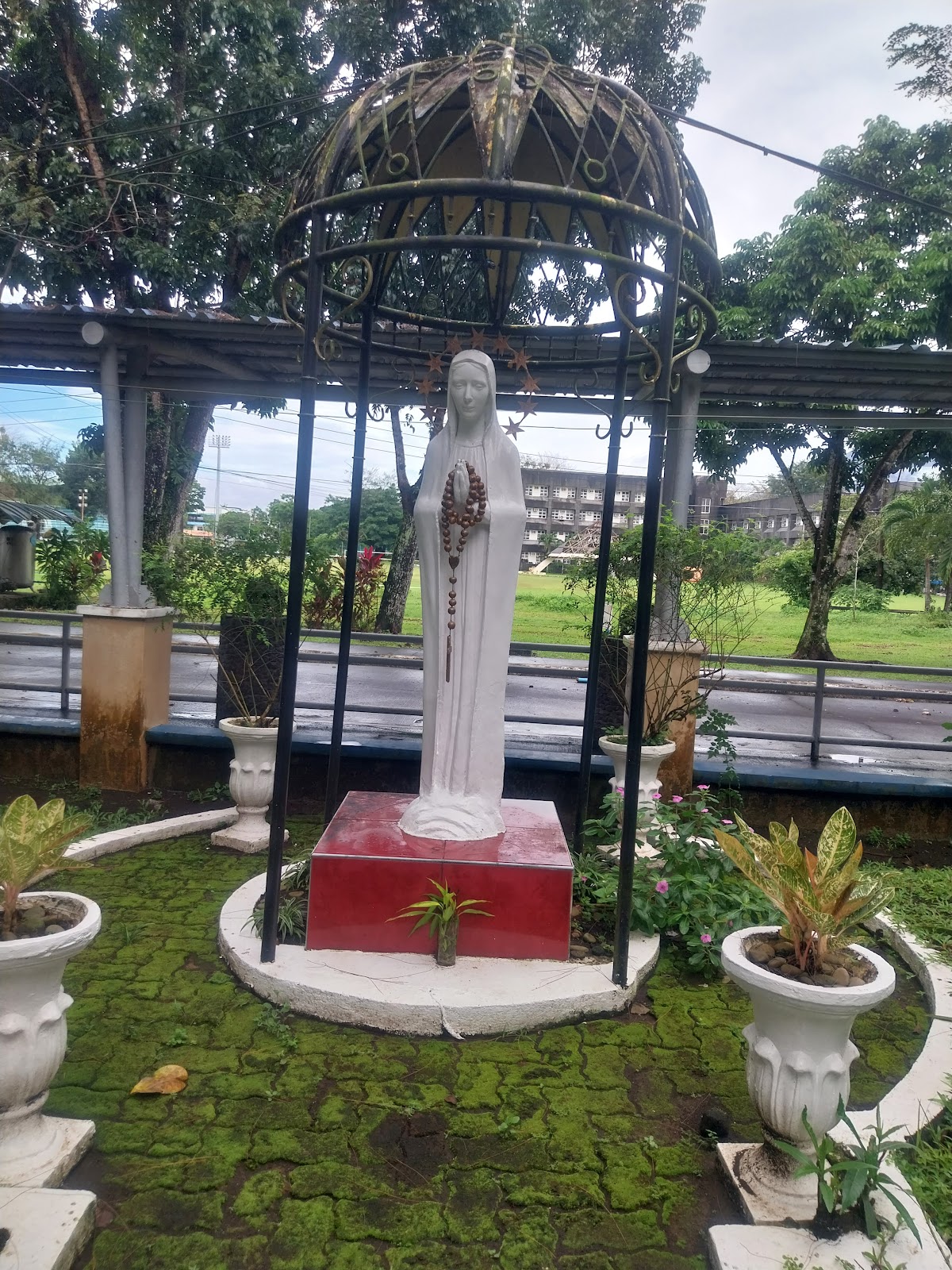 Bicol University photo 9