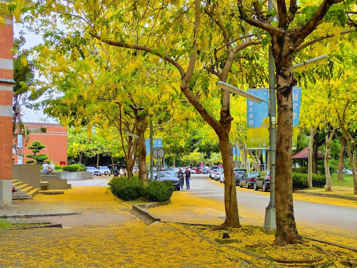 Asia University photo 4