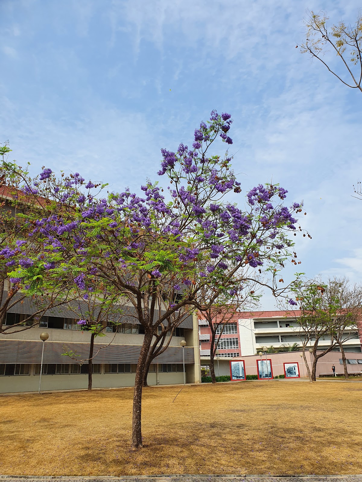 Federal University of Minas Gerais photo 9