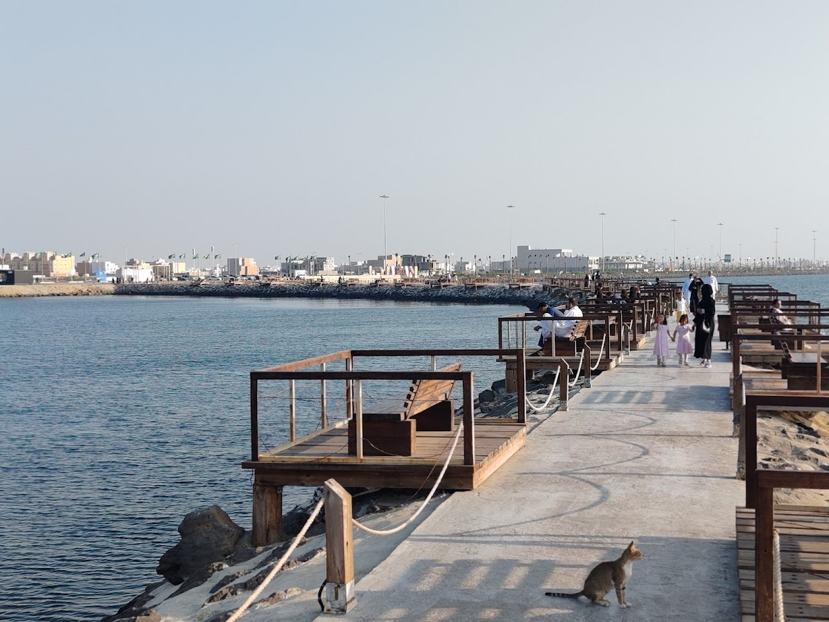 Jazan University photo 3