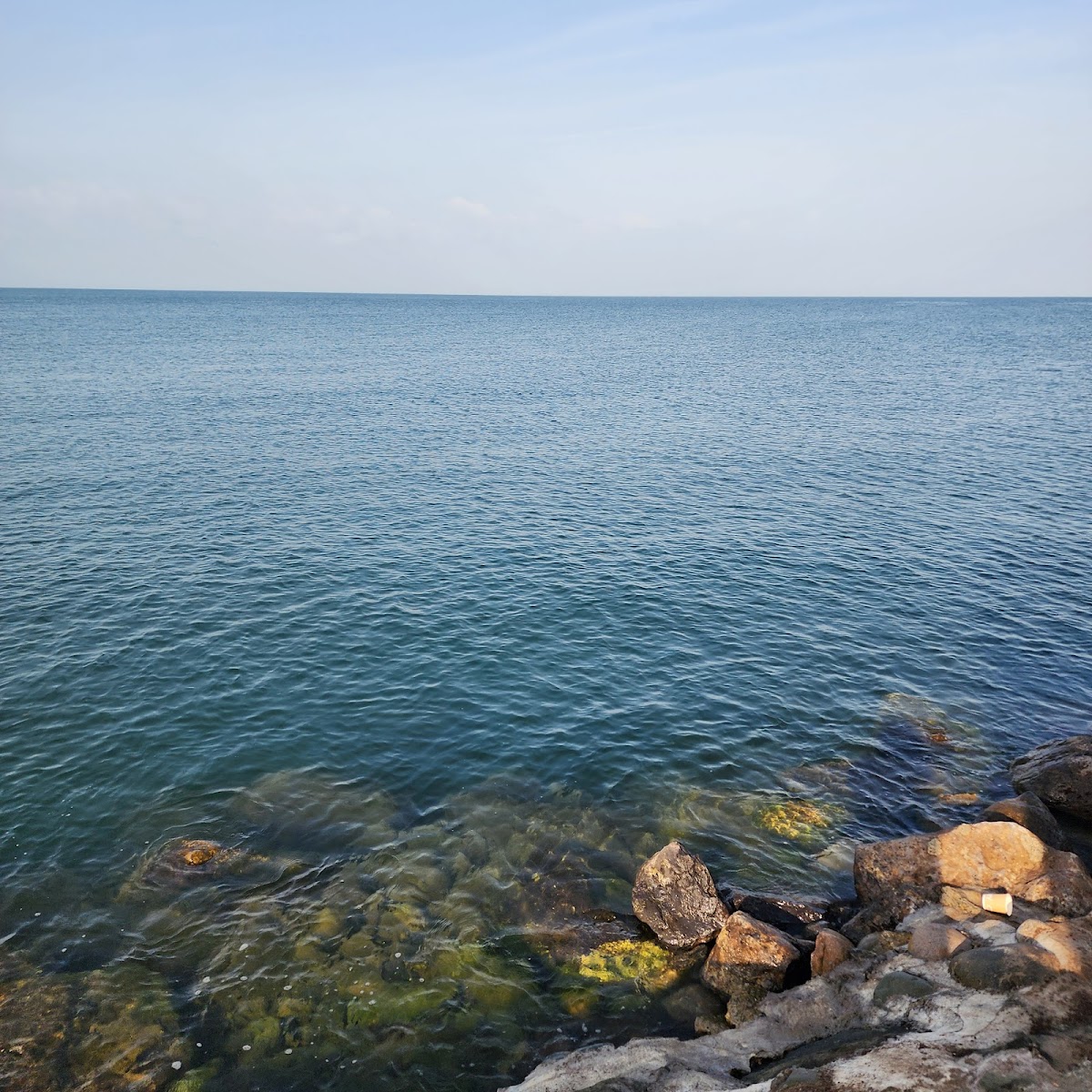 Jazan University photo 4