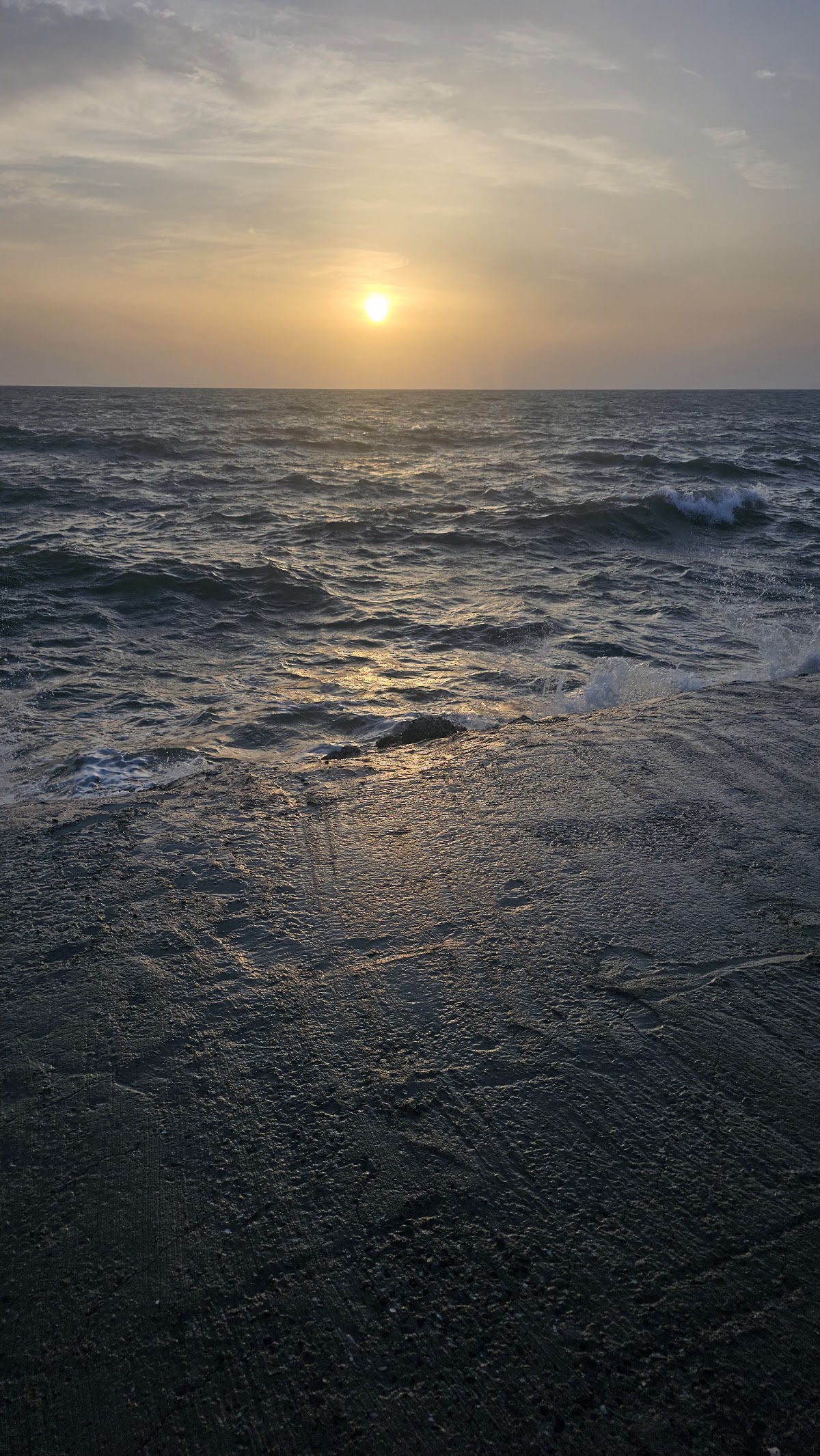 Jazan University photo 9